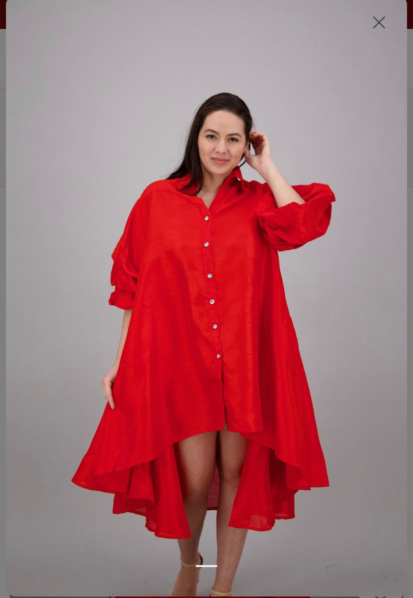 Jazmine Ruche Sleeve Hi Lo Dress/Shirt