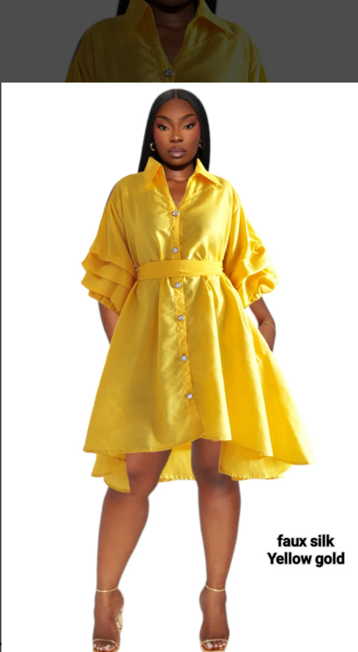 Jazmine Ruche Sleeve Hi Lo Dress/Shirt