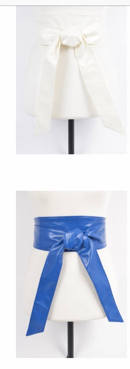 Tie Wrap Belt