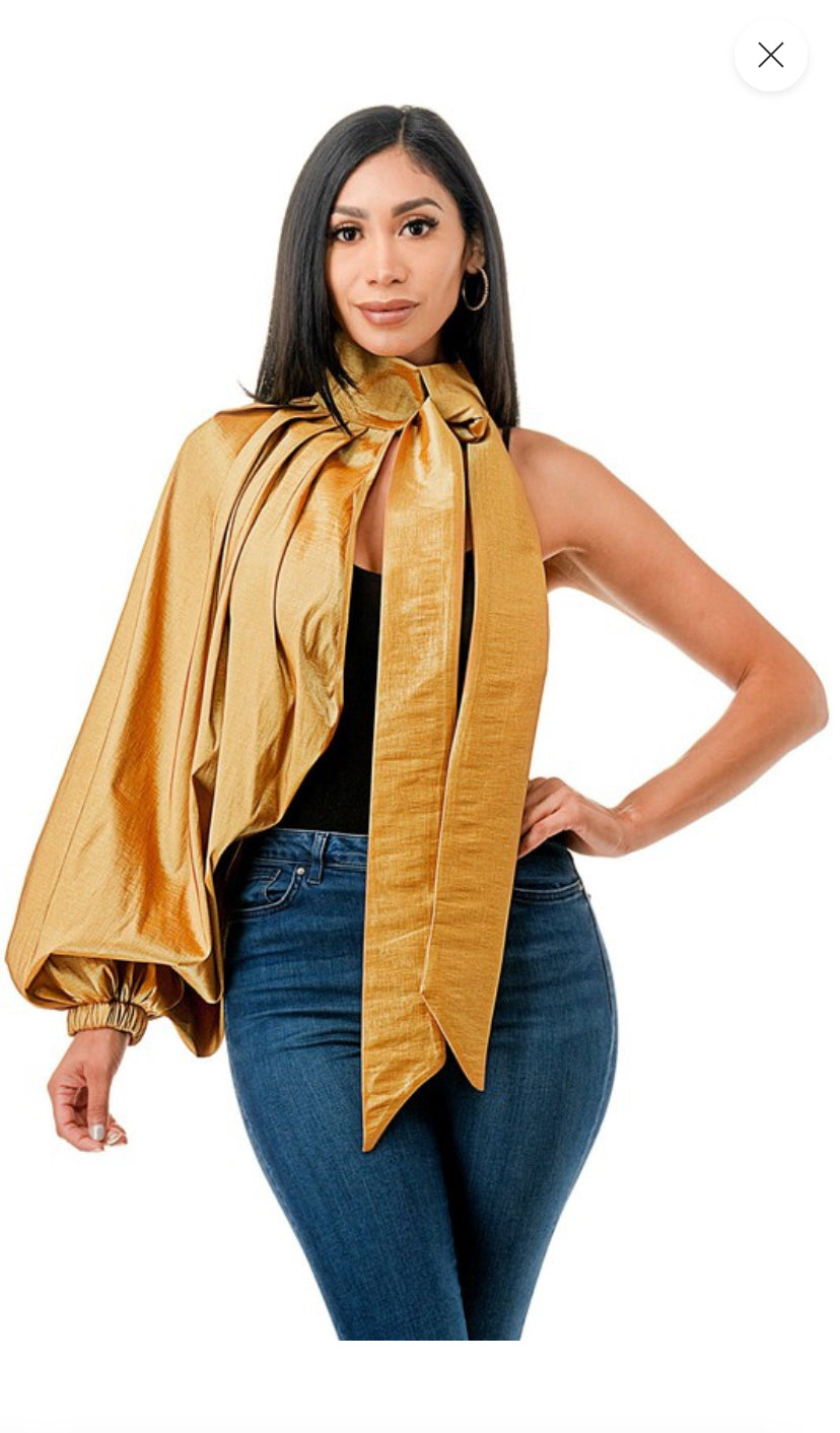 Voluminous One Sleeve Top